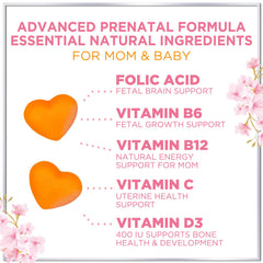 Hello Lovely Prenatal DHA ingredients highlighted for prenatal nervous system support