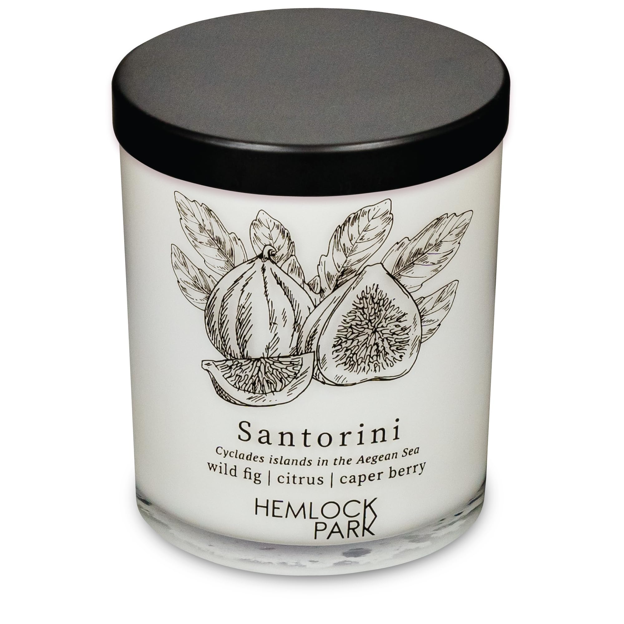 Hemlock Park natural coconut wax candle for clean burn