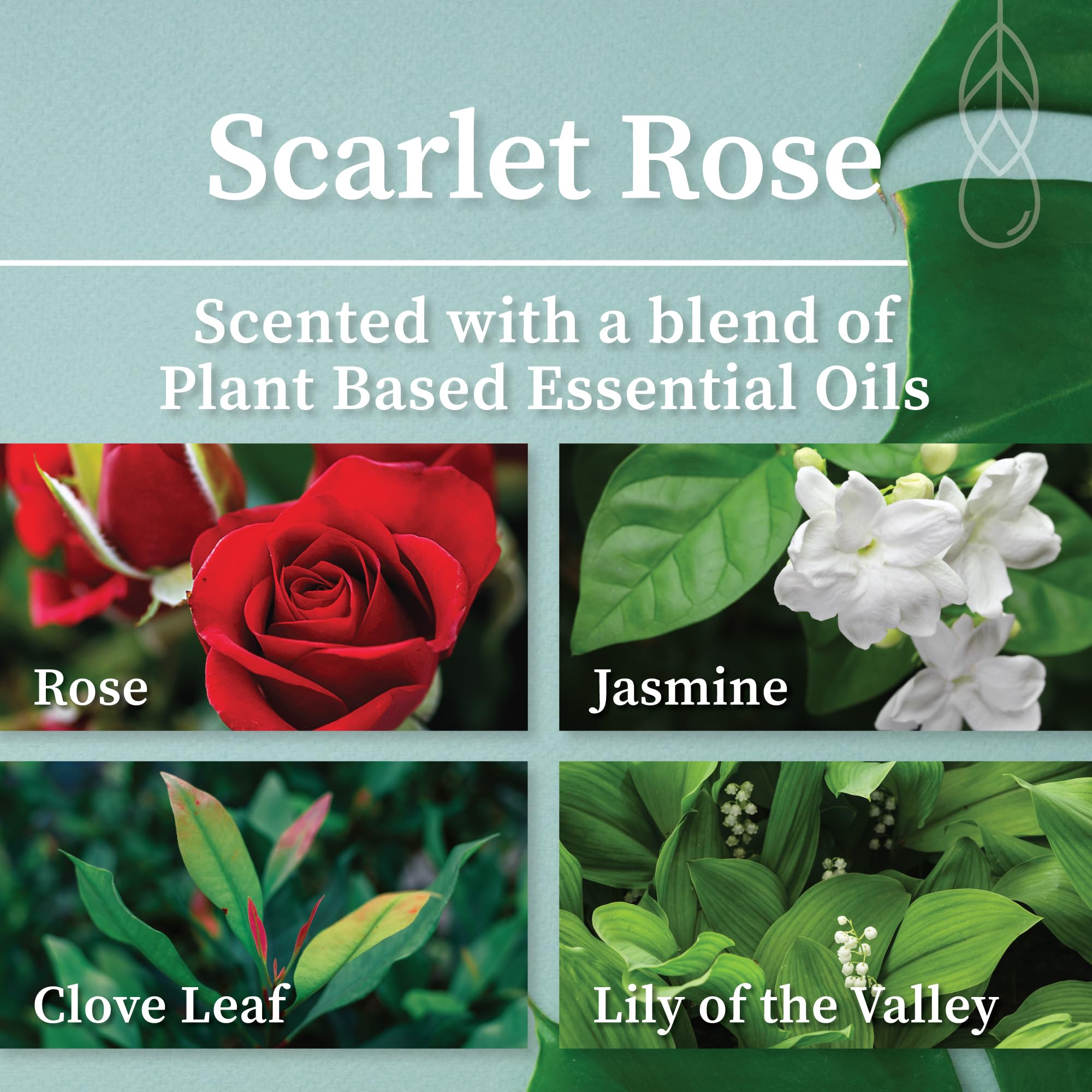 Hemlock Park Scarlet Rose label closeup highlighting eco-friendly coconut wax and vegan formulation