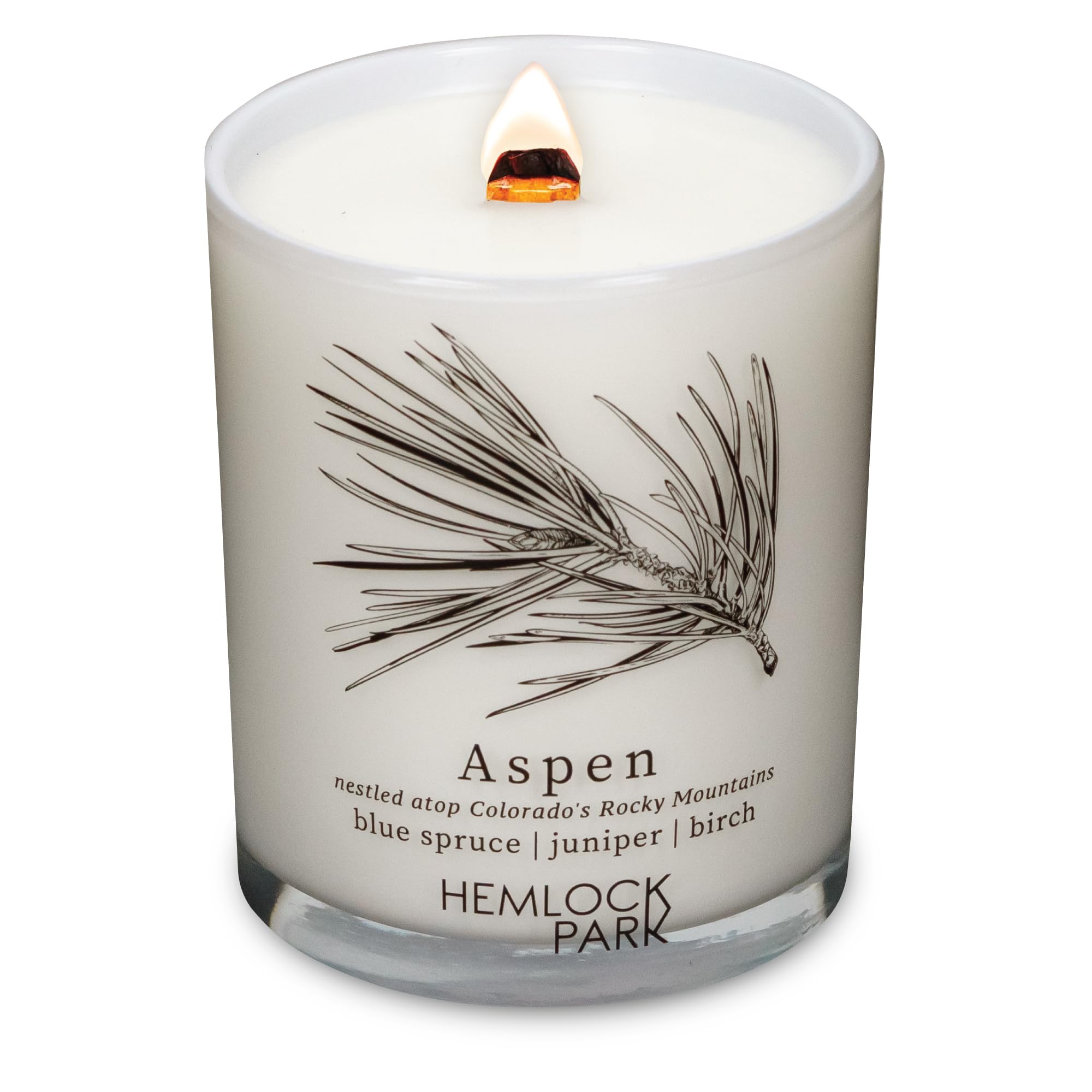 Hemlock Park travel-inspired passport candle with crackling wood wick for cozy ambience