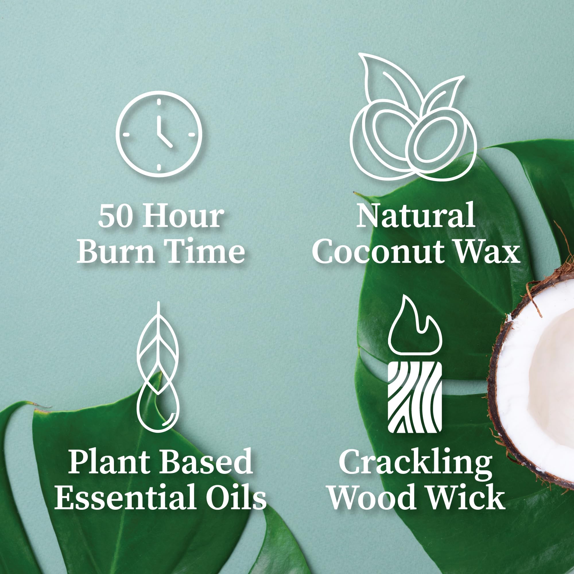 Hemlock Park amber-gold-candle wood-wick demonstrates steady flame and even scent throw.