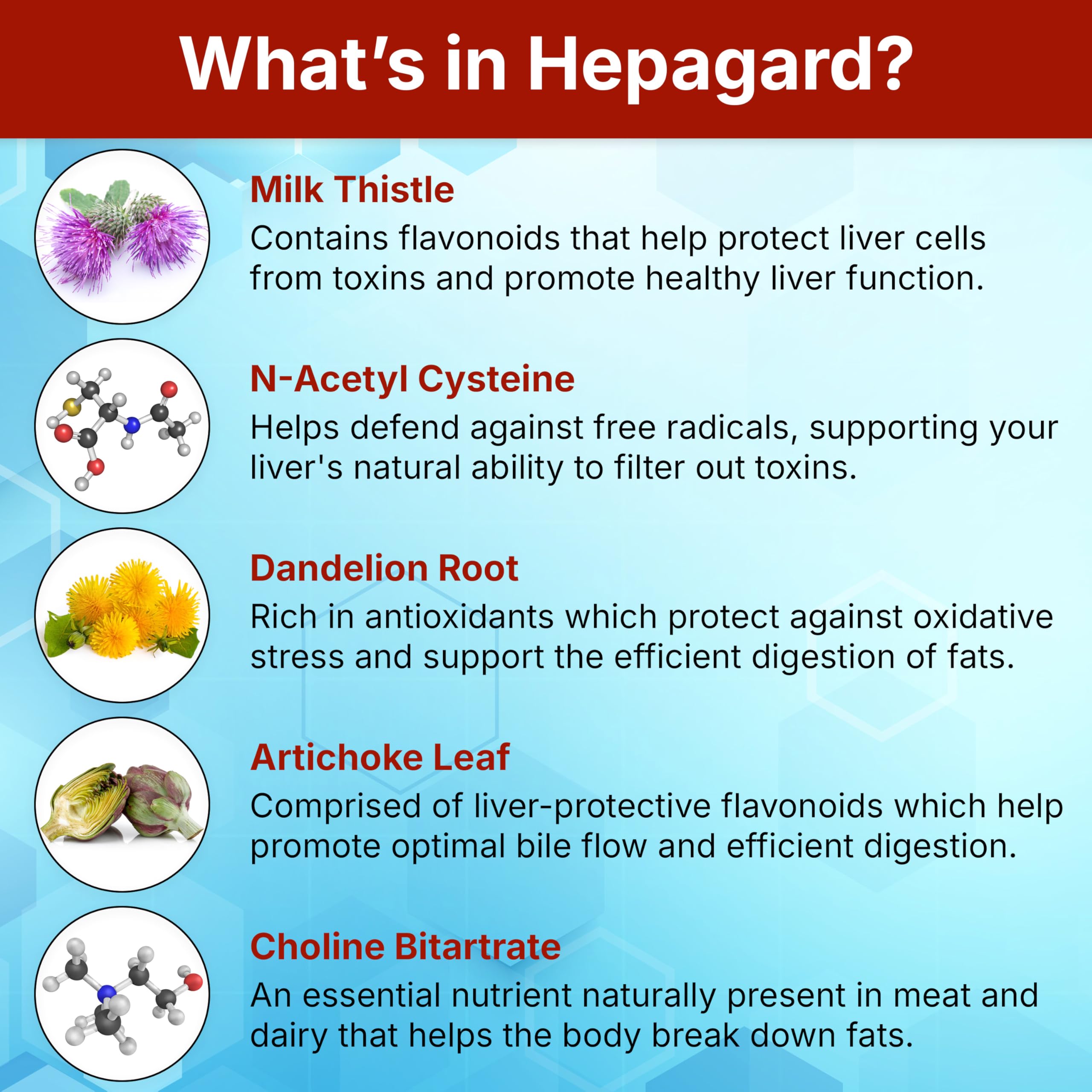 Hepagard bottle highlights choline bitartrate for metabolism support.