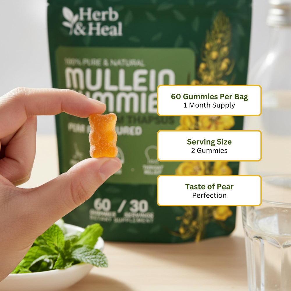Herb & Heal Mullein Gummies taste: enjoyable fruit-forward flavor over bitter teas or tinctures.