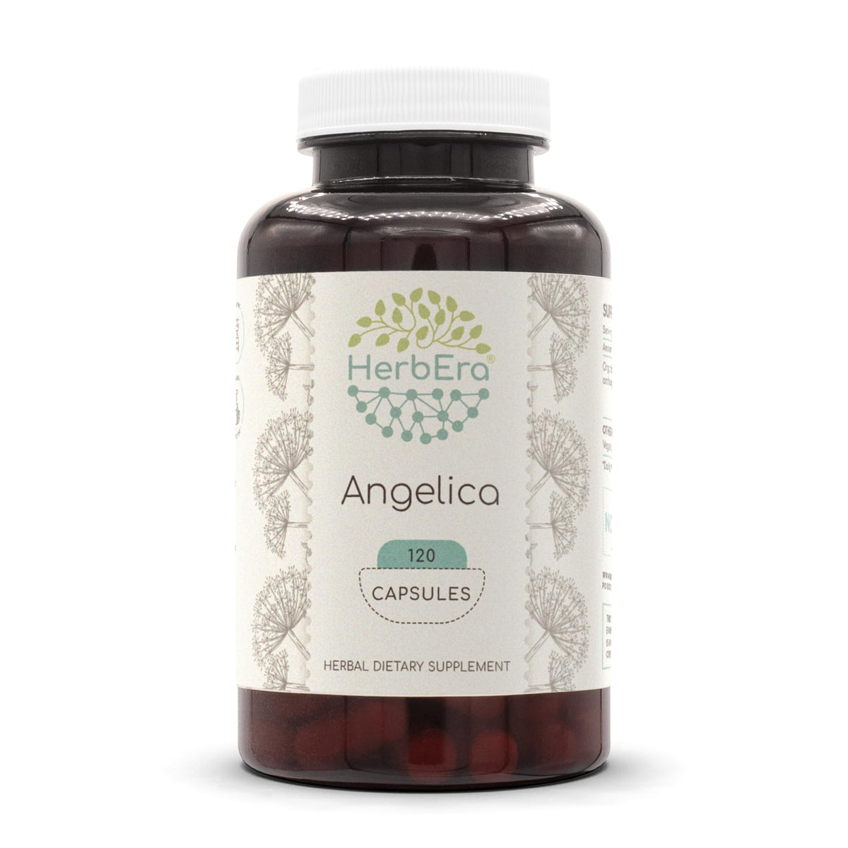 HerbEra Angelica 120 capsules bottle showing premium quality for daily wellness