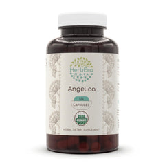 HerbEra Angelica bottle scene showing organic supplement for daily wellness routines.