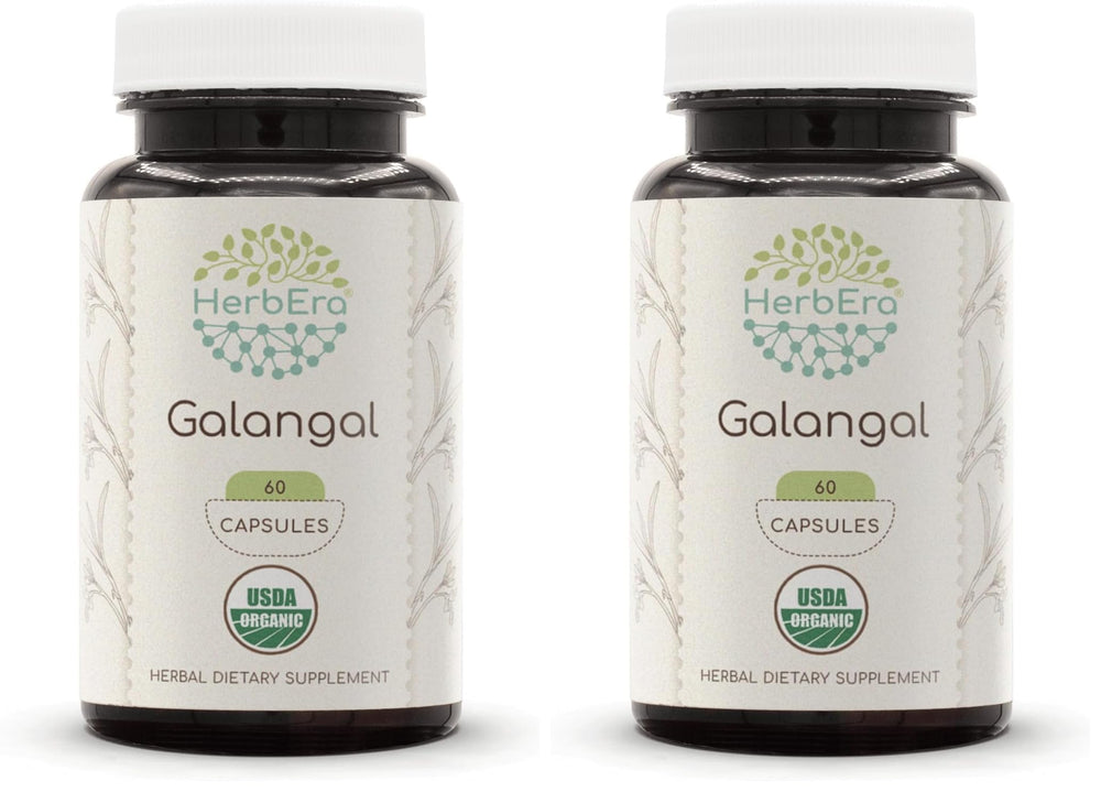 HerbEra Galangal dried root pack 2, natural and organic, ready for culinary uses.