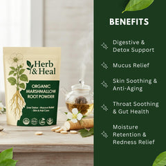 Herb & Heal marshmallow root powder scoop ready for precise dosage in teas and remedies.