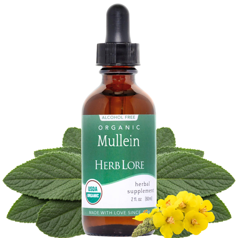 Herb Lore Mullein tincture bottle for natural respiratory comfort with simple dropper use.