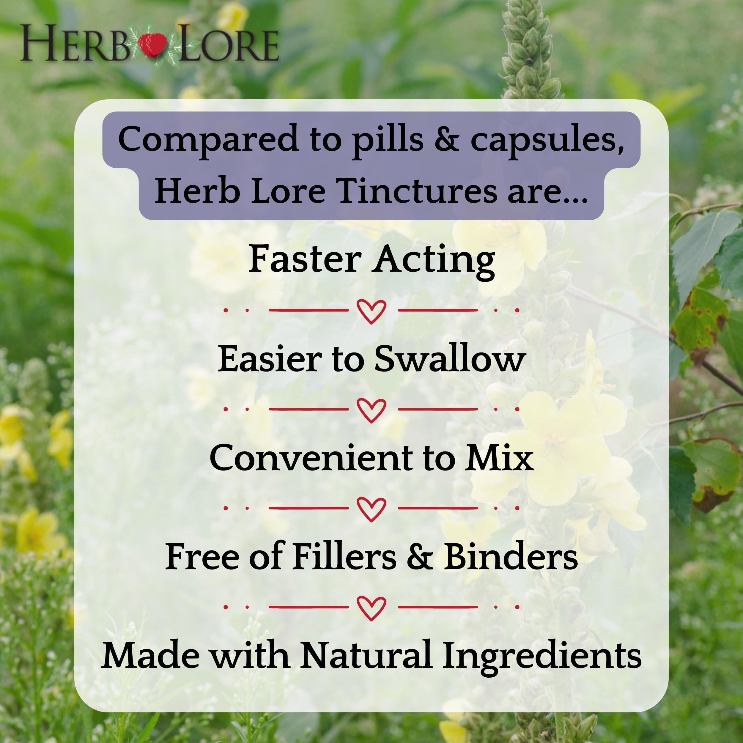 Herb Lore Organic mullein leaf ingredients highlighting pure plant-based extraction.