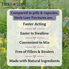Herb Lore Organic mullein leaf ingredients highlighting pure plant-based extraction.
