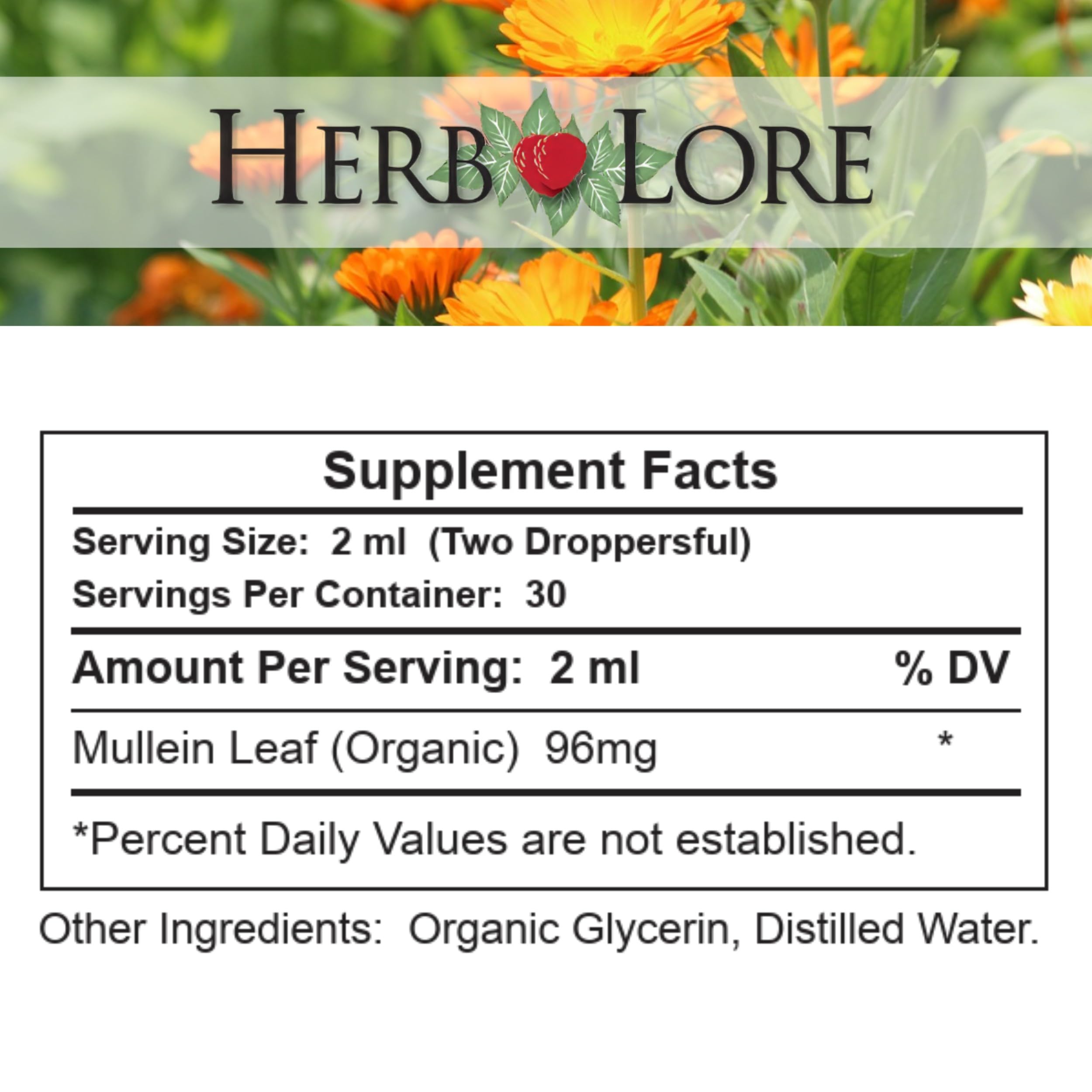 Herb Lore tincture bottle beside steaming mug as a warm tea alternative.