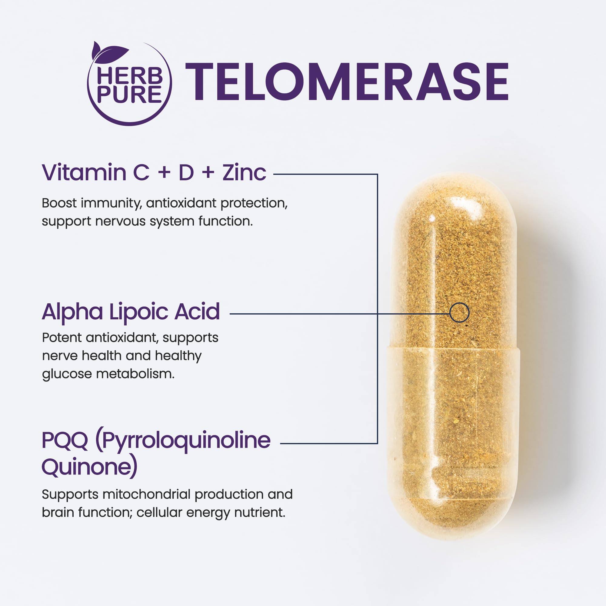 HERB PURE Astragalus root extract supporting nervous system health.