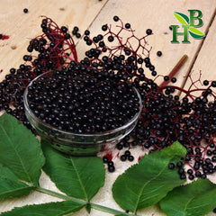 Herb To Body elderberry berries close-up, perfect for syrups and teas