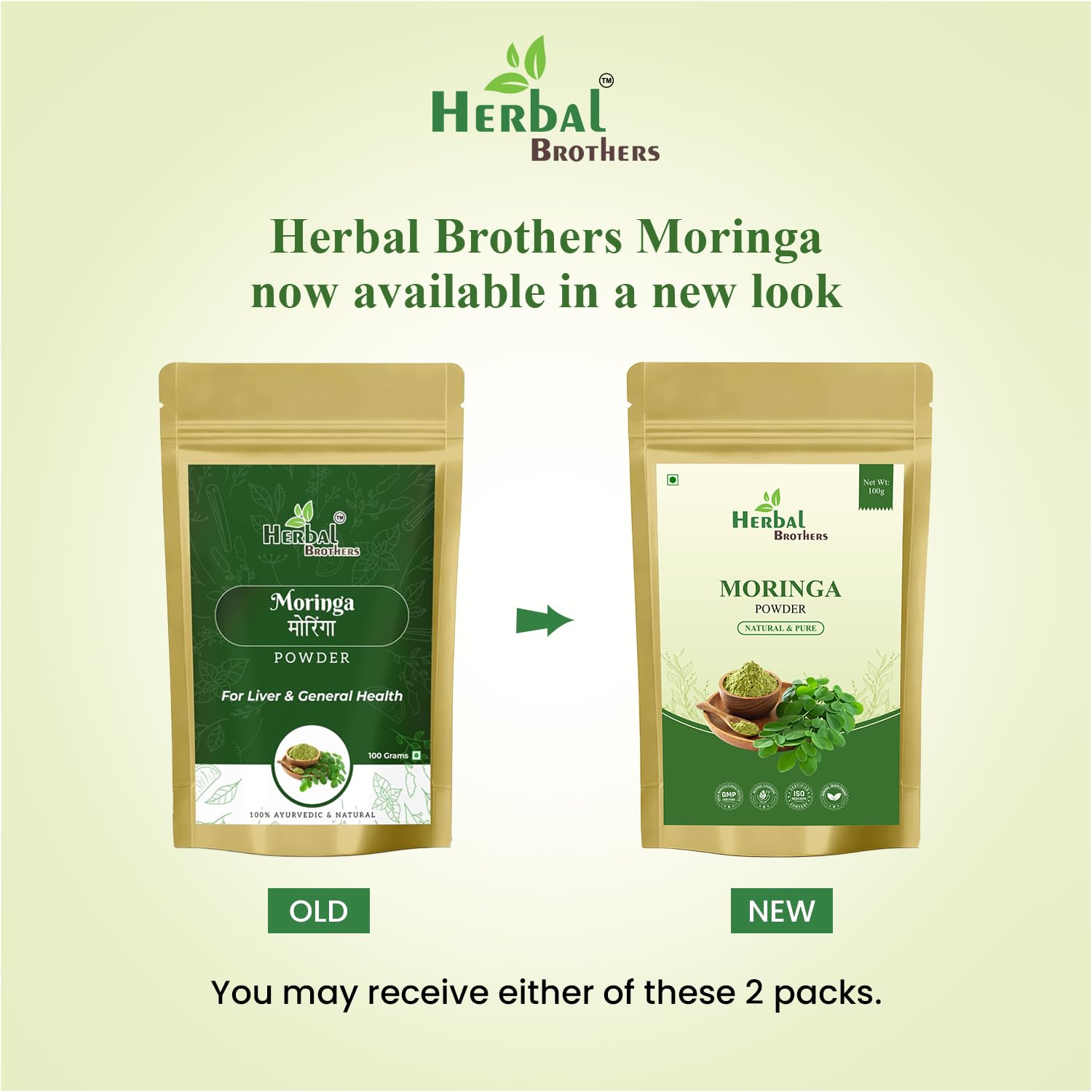 Close-up of HERBAL BROTHERS Moringa powder texture for smoothies