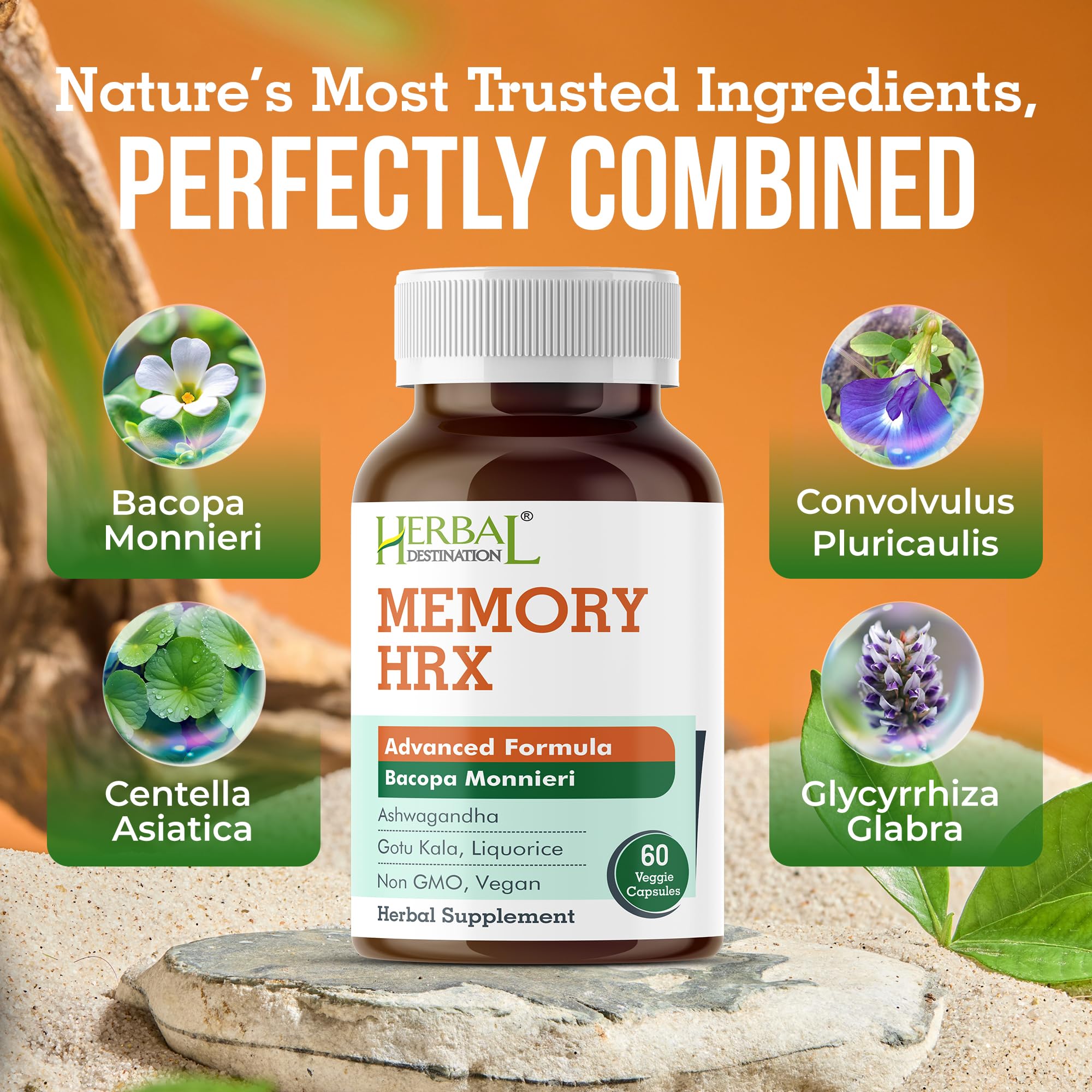 Herbal Destination Memory Hrx box packaging conveys premium brain health.