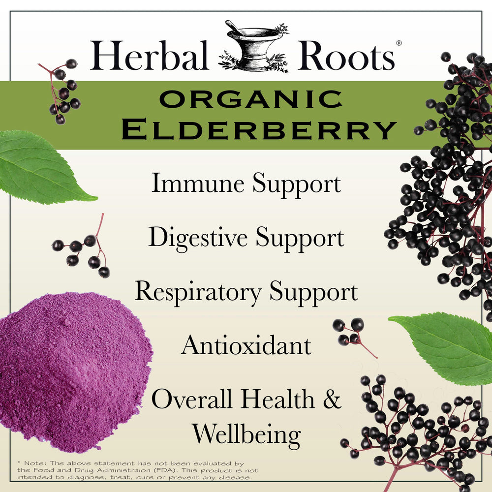 Herbal Roots Black Elderberry Capsules capsules in hand illustrate daily wellness use