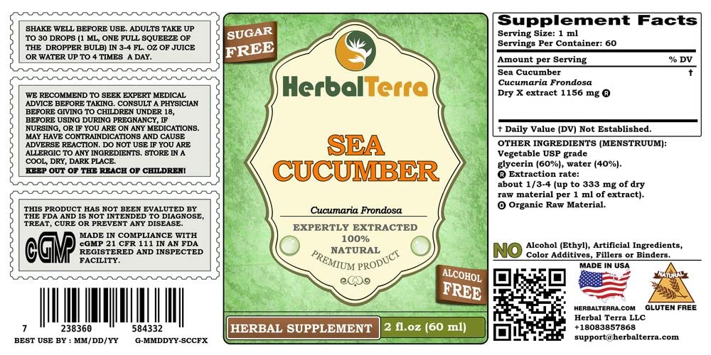Herbal Terra dried sea cucumber image, premium dried sea cucumber for natural extract.