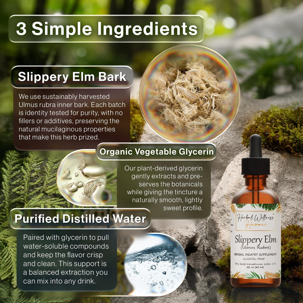 Herbal Wellness Hawaii dried slippery elm bark highlights a pure ingredient for herbal preparations.