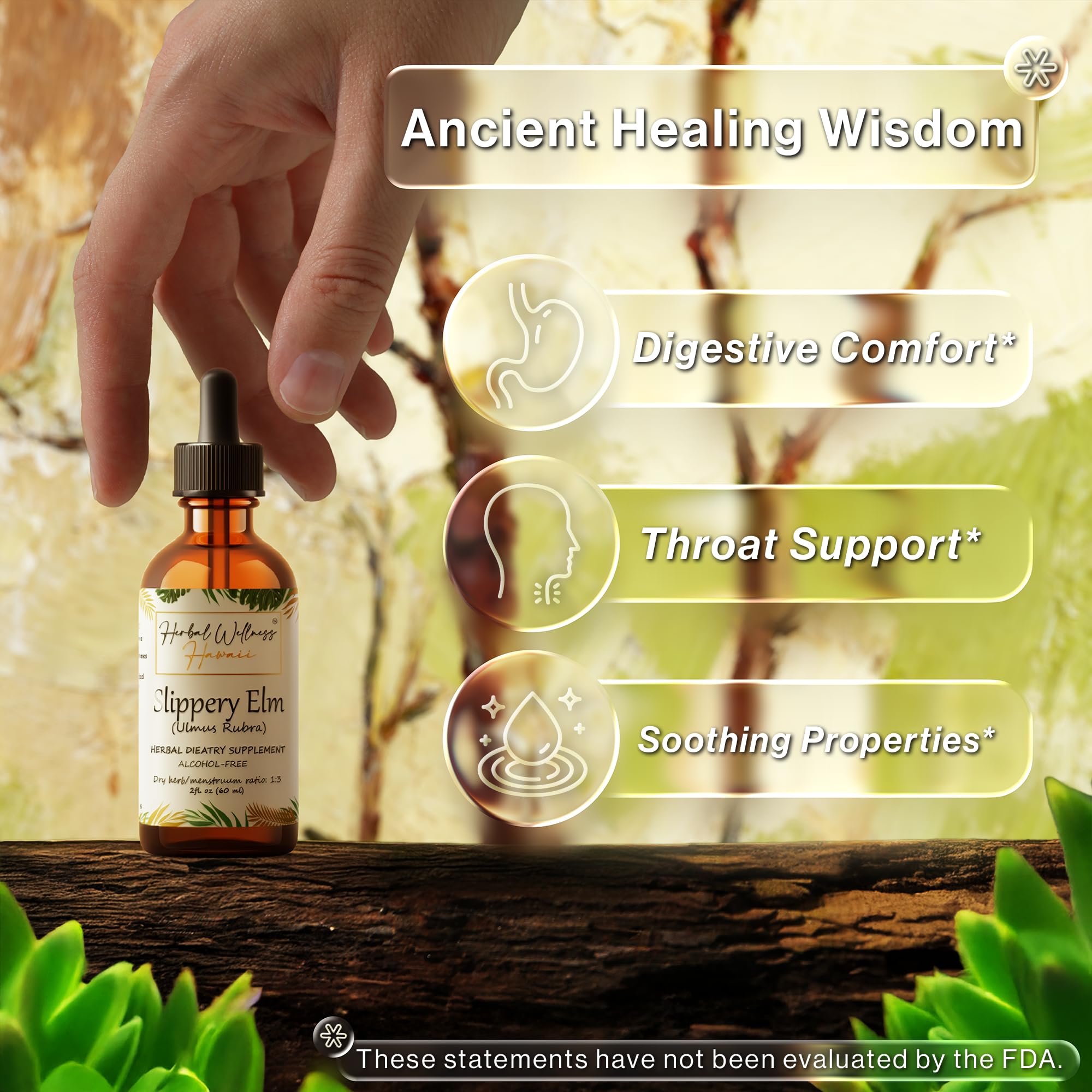 Herbal Wellness Hawaii liquid extract bottle shows easy-to-use drops for drinks or direct use.