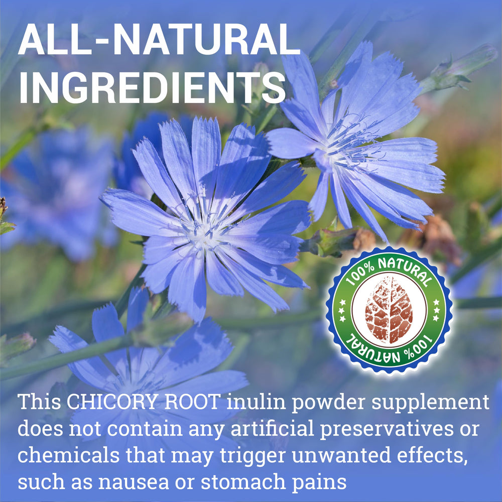 HERBALICIOUS Chicory Root Supplement label close-up highlights organic chicory root and inulin content.