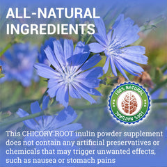 HERBALICIOUS Chicory Root Supplement label close-up highlights organic chicory root and inulin content.