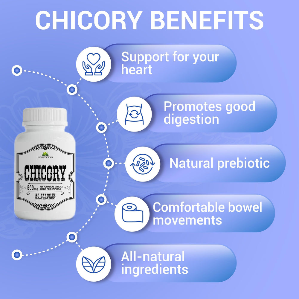 HERBALICIOUS Chicory Root Supplement serving scoop image demonstrates easy dosing.
