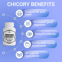 HERBALICIOUS Chicory Root Supplement serving scoop image demonstrates easy dosing.