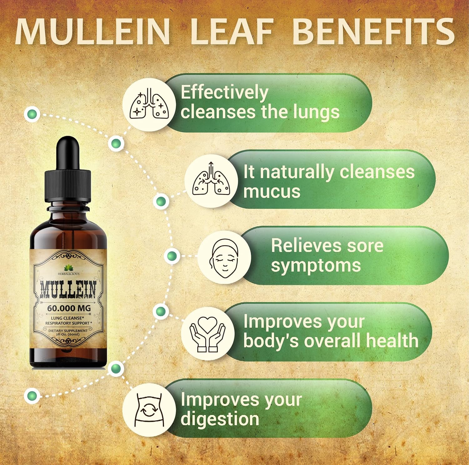 HERBALICIOUS Mullein Drops may support digestion alongside respiratory comfort