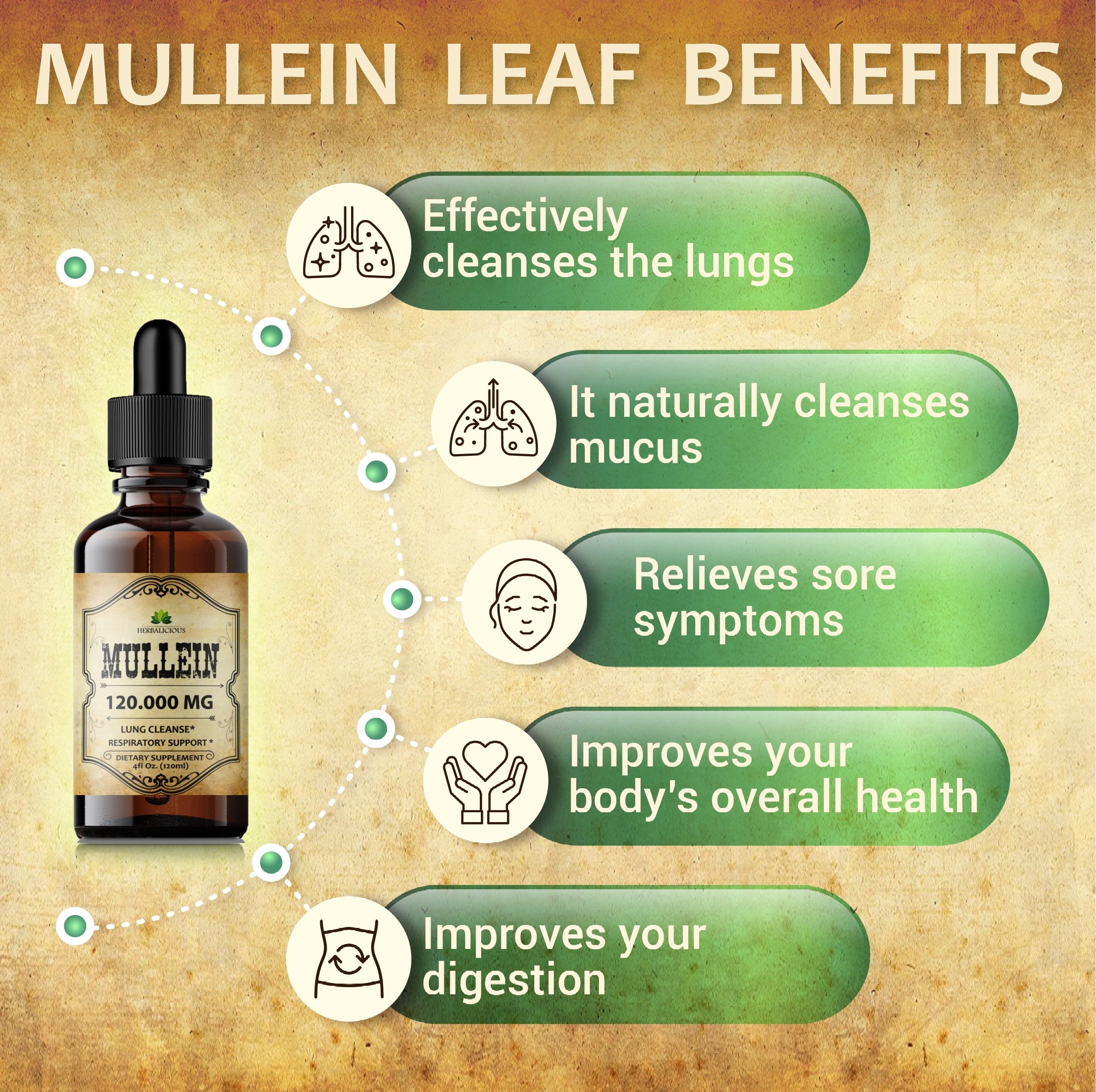 Made in the USA ensures quality and safety standards for HERBALICIOUS Mullein Drops