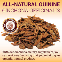 HERBALICIOUS Quinine Capsules in hand conveys accessibility and natural ingredient benefits.