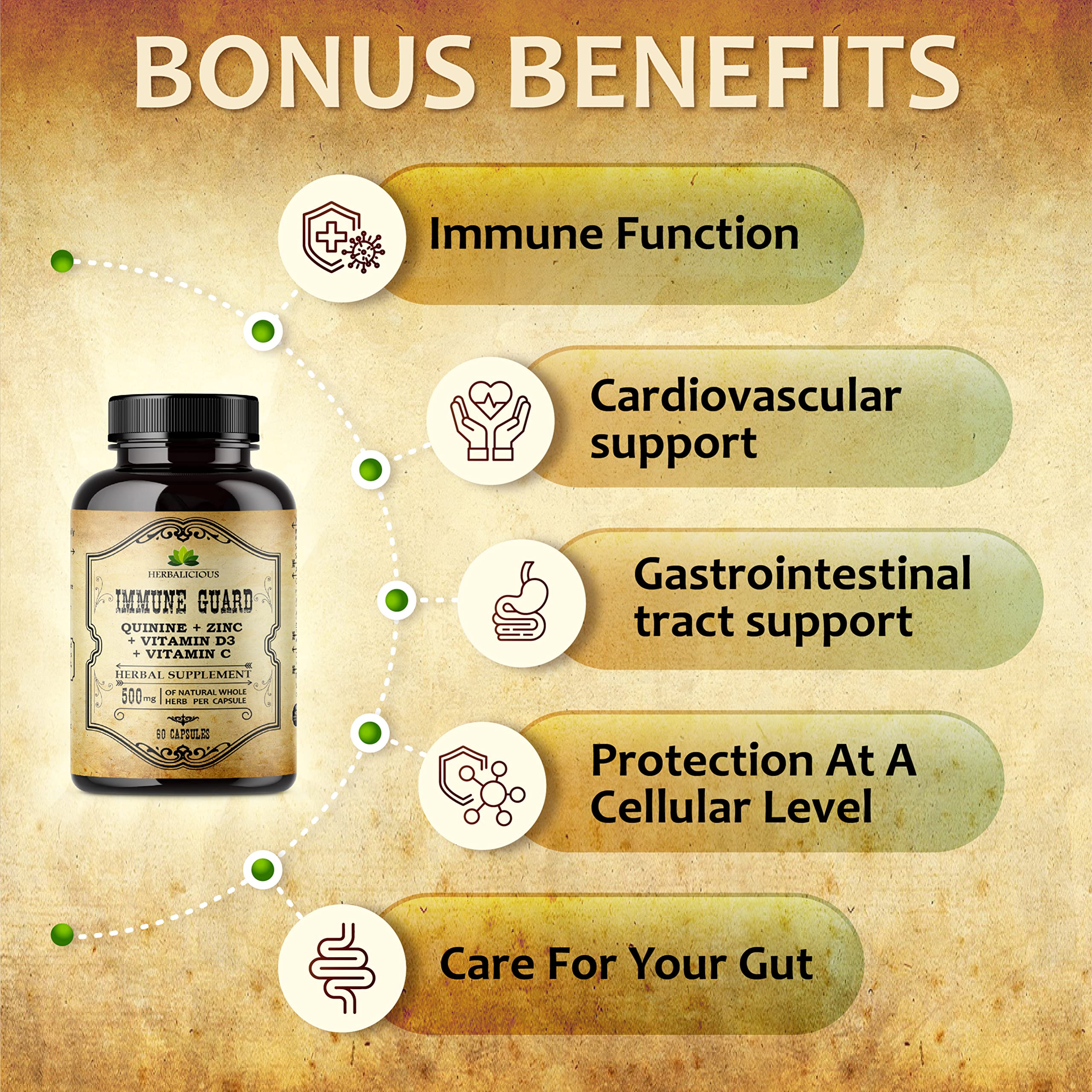 HERBALICIOUS Quinine Immune Guard dosage chart image shows daily intake guidance.