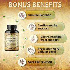 HERBALICIOUS Quinine Immune Guard dosage chart image shows daily intake guidance.