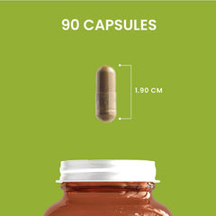 HERBALY Mushroom Complete capsules close-up emphasizes easy-to-swallow veggie capsules
