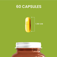 HERBALY Wellness oregano oil capsules arranged neatly for a convenient daily routine.