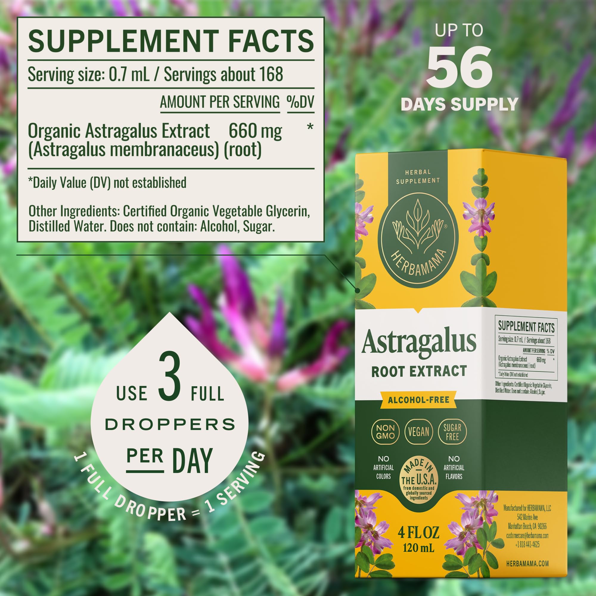HERBAMAMA Astragalus tincture bottle side view showcasing alcohol-free, glycerin-based formula.