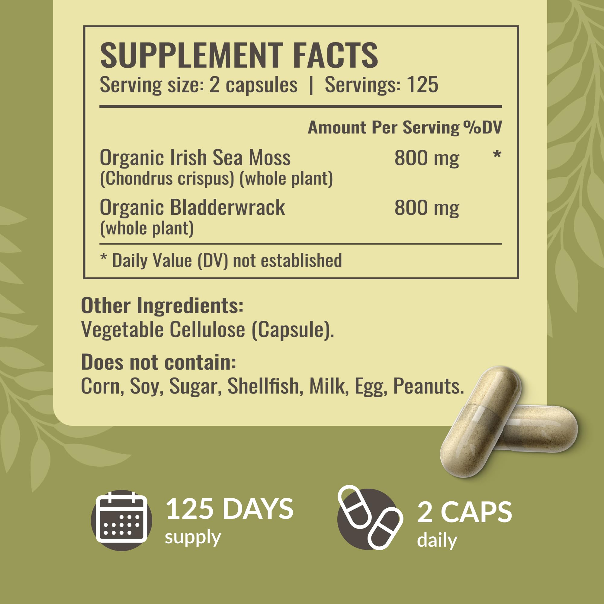 Herbamama bladderwrack powder beside sea moss capsules on kitchen counter