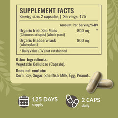 Herbamama bladderwrack powder beside sea moss capsules on kitchen counter