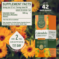 HERBAMAMA Calendula tincture being poured into water for smooth, alcohol-free use.