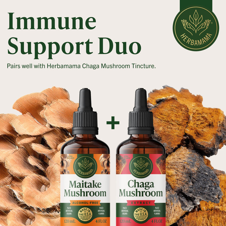 HERBAMAMA Maitake tincture bottle close-up with branding