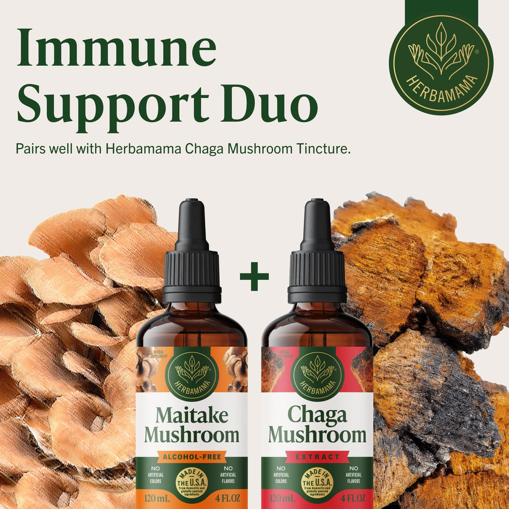HERBAMAMA Maitake tincture bottle close-up with branding