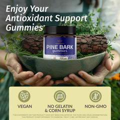 Close-up of HERBAMAMA Pine Bark Gummies showing chewy texture and blueberry flavor