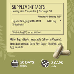 HERBAMAMA Stinging Nettle Root Extract 1200mg close-up emphasizing potency.