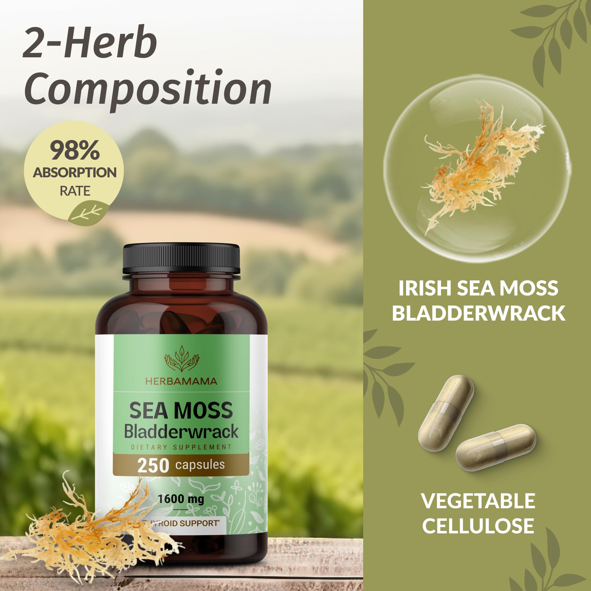 Herbamama vegan capsules highlight plant-based wellness with clean ingredients