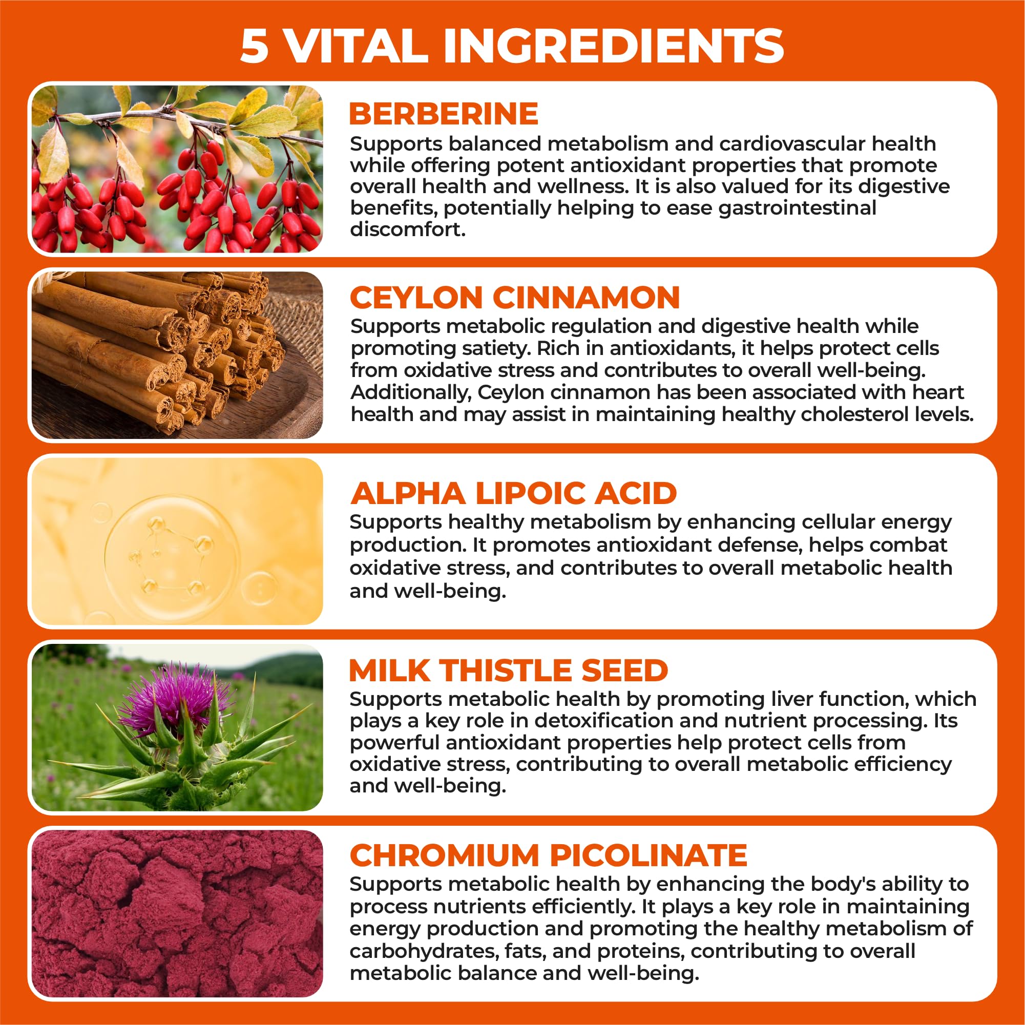 HerbaMe ingredients scene with cinnamon and berberine among antioxidants.