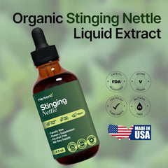 HERBANA Nettles tincture bottle for respiratory comfort during seasons.