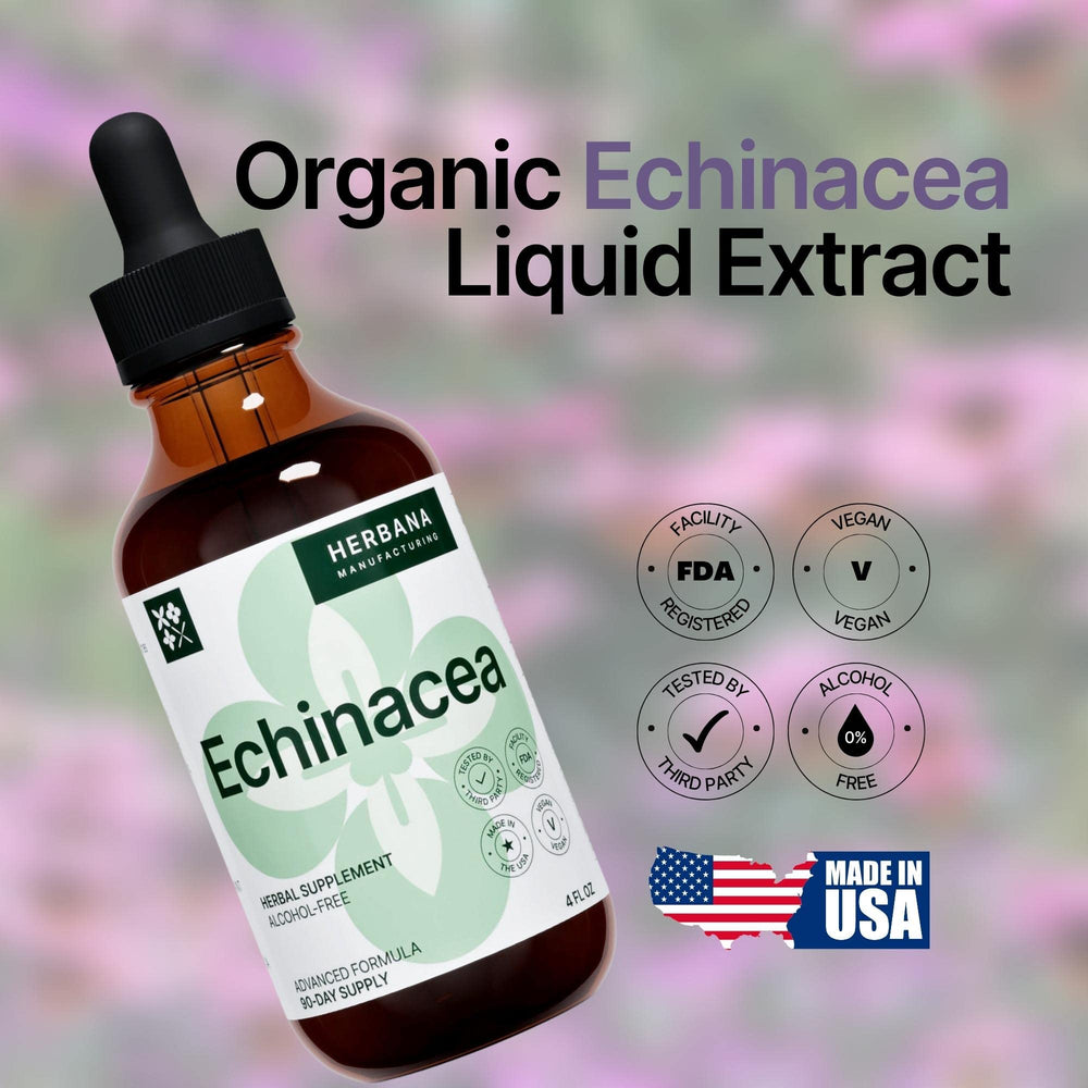 HERBANA Echinacea immune-support tincture for daily supplementation options.