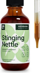 Herbana nettle bottle shows high potency tincture for daily use