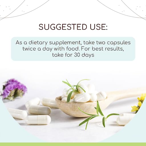 HerbEra Galangal dried root shows natural, organic form for capsules.