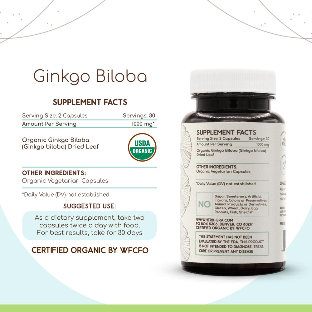 HerbEra Ginkgo Biloba dried leaf material highlighting organic quality.
