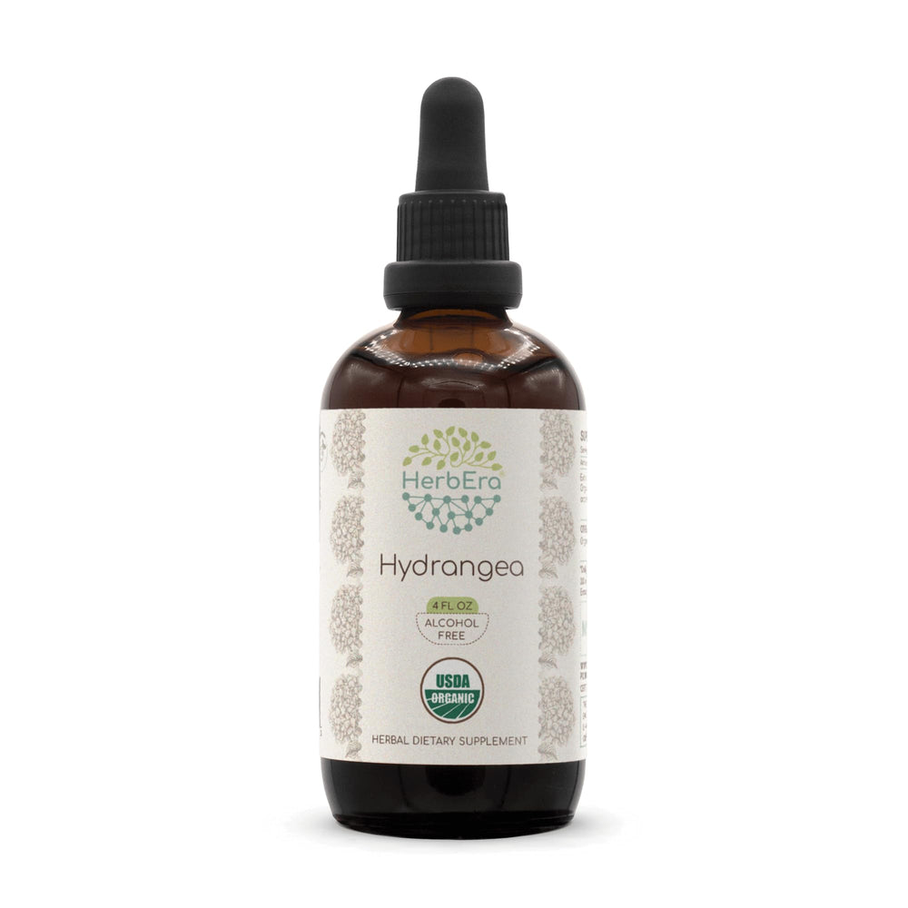 HerbEra Hydrangea B120 tincture bottle for daily herbal routine